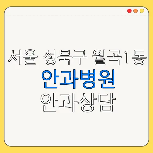 서울 성북구 월곡1동 안과병원 안과상담 안과추천 | 눈침침 | 눈건강