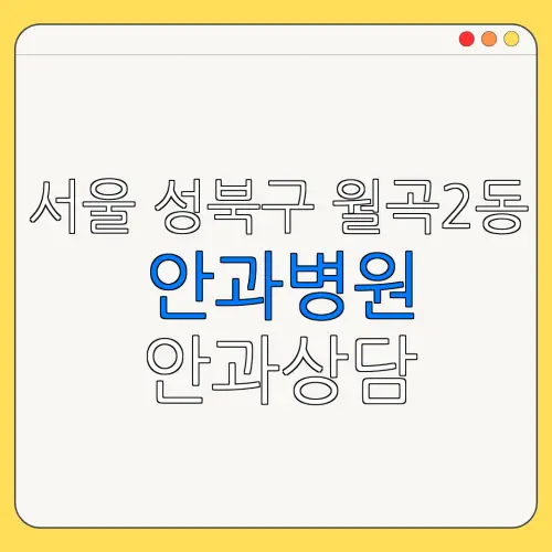 서울 성북구 월곡2동 안과병원 안과상담 안과추천 | 눈침침 | 눈건강