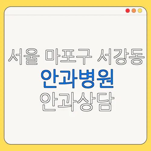 서울 마포구 서강동 안과병원 안과상담 안과추천 | 눈침침 | 눈건강
