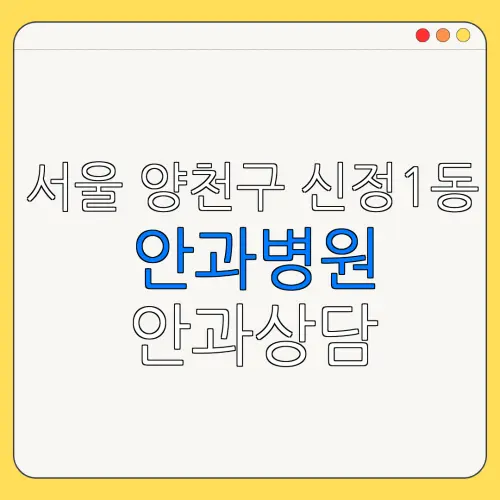 서울 양천구 신정1동 안과병원 안과상담 안과추천 | 눈침침 | 눈건강
