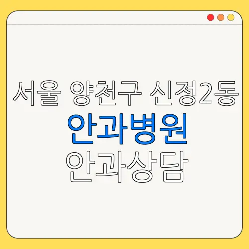 서울 양천구 신정2동 안과병원 안과상담 안과추천 | 눈침침 | 눈건강