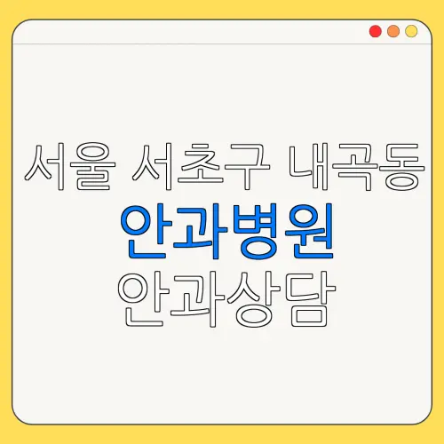 서울 서초구 내곡동 안과병원 안과상담 안과추천 | 눈침침 | 눈건강