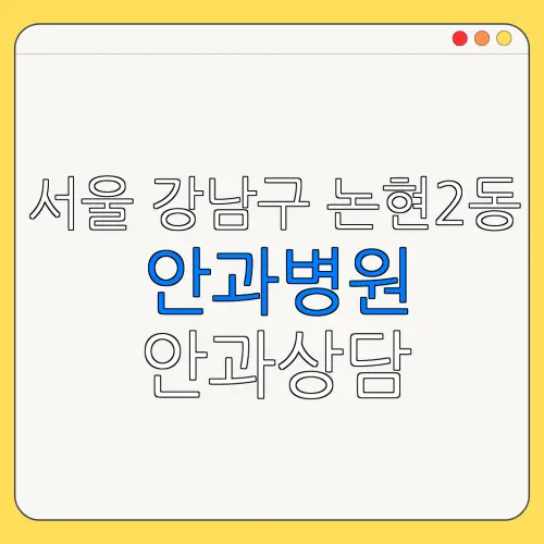 서울 강남구 논현2동 안과병원 안과상담 안과추천 | 눈침침 | 눈건강