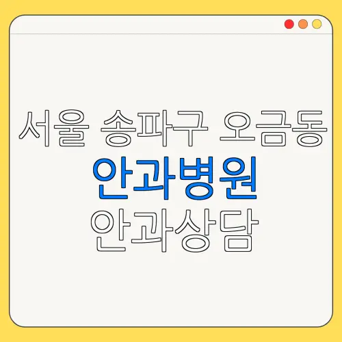 서울 송파구 오금동 안과병원 안과상담 안과추천 | 눈침침 | 눈건강