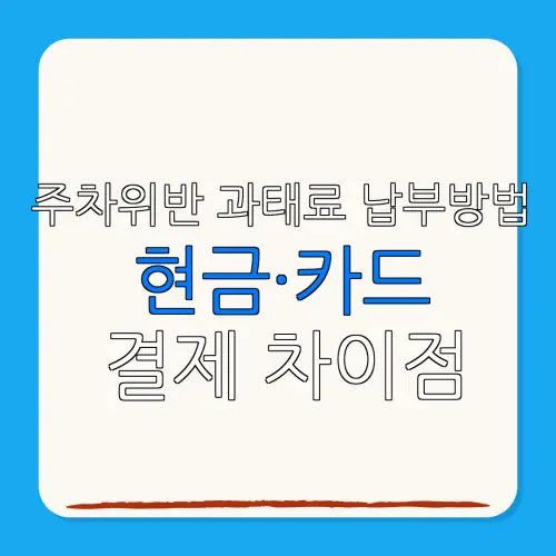 주차위반 과태료 납부방법현금·카드결제 차이점