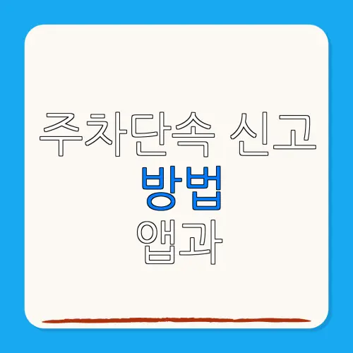 주차단속 신고방법 앱과전화로 간편하게