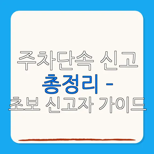 주차단속 신고총정리 –초보 신고자 가이드