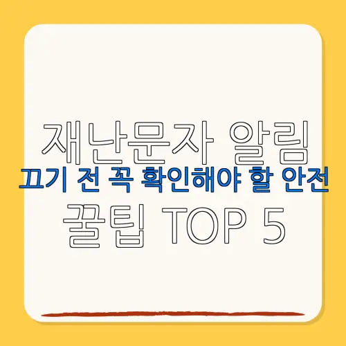 재난문자 알림끄기 전 꼭 확인해야 할 안전꿀팁 TOP 5