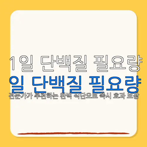 1일 단백질 필요량일 단백질 필요량전문가가 추천하는 완벽 식단으로 즉시 효과 보장