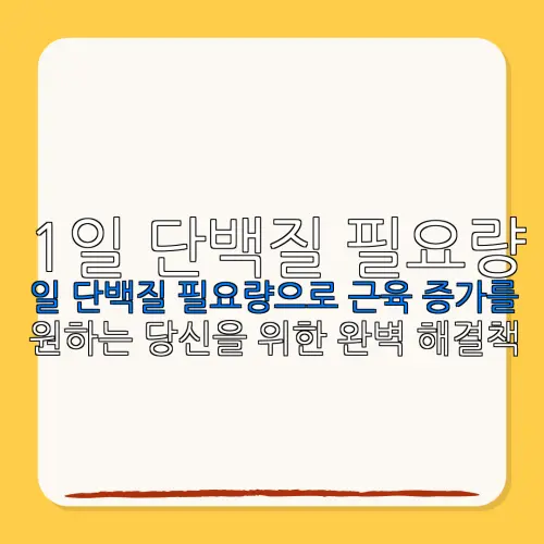 1일 단백질 필요량일 단백질 필요량으로 근육 증가를원하는 당신을 위한 완벽 해결책