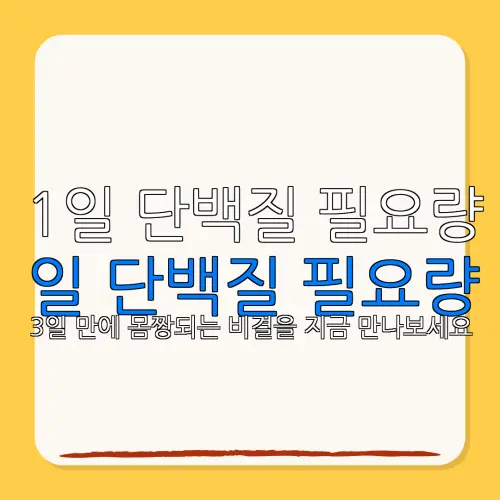 1일 단백질 필요량일 단백질 필요량3일 만에 몸짱되는 비결을 지금 만나보세요