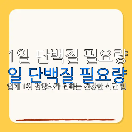 1일 단백질 필요량일 단백질 필요량업계 1위 영양사가 전하는 건강한 식단 팁