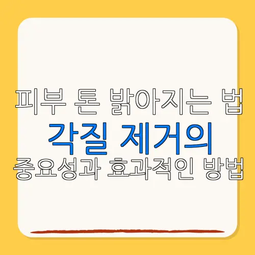피부 톤 밝아지는 법각질 제거의중요성과 효과적인 방법
