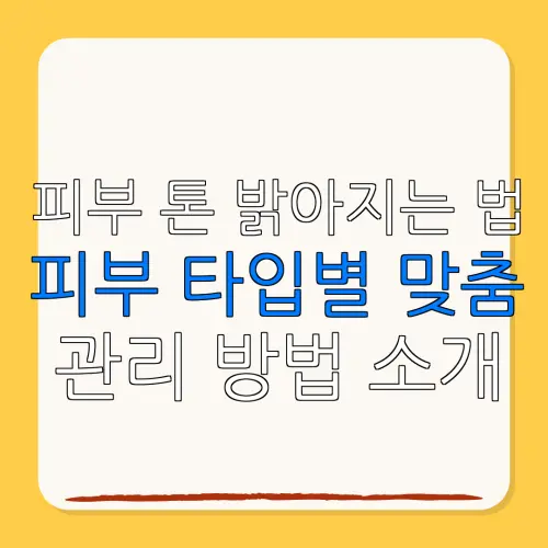 피부 톤 밝아지는 법피부 타입별 맞춤관리 방법 소개