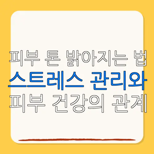 피부 톤 밝아지는 법스트레스 관리와피부 건강의 관계